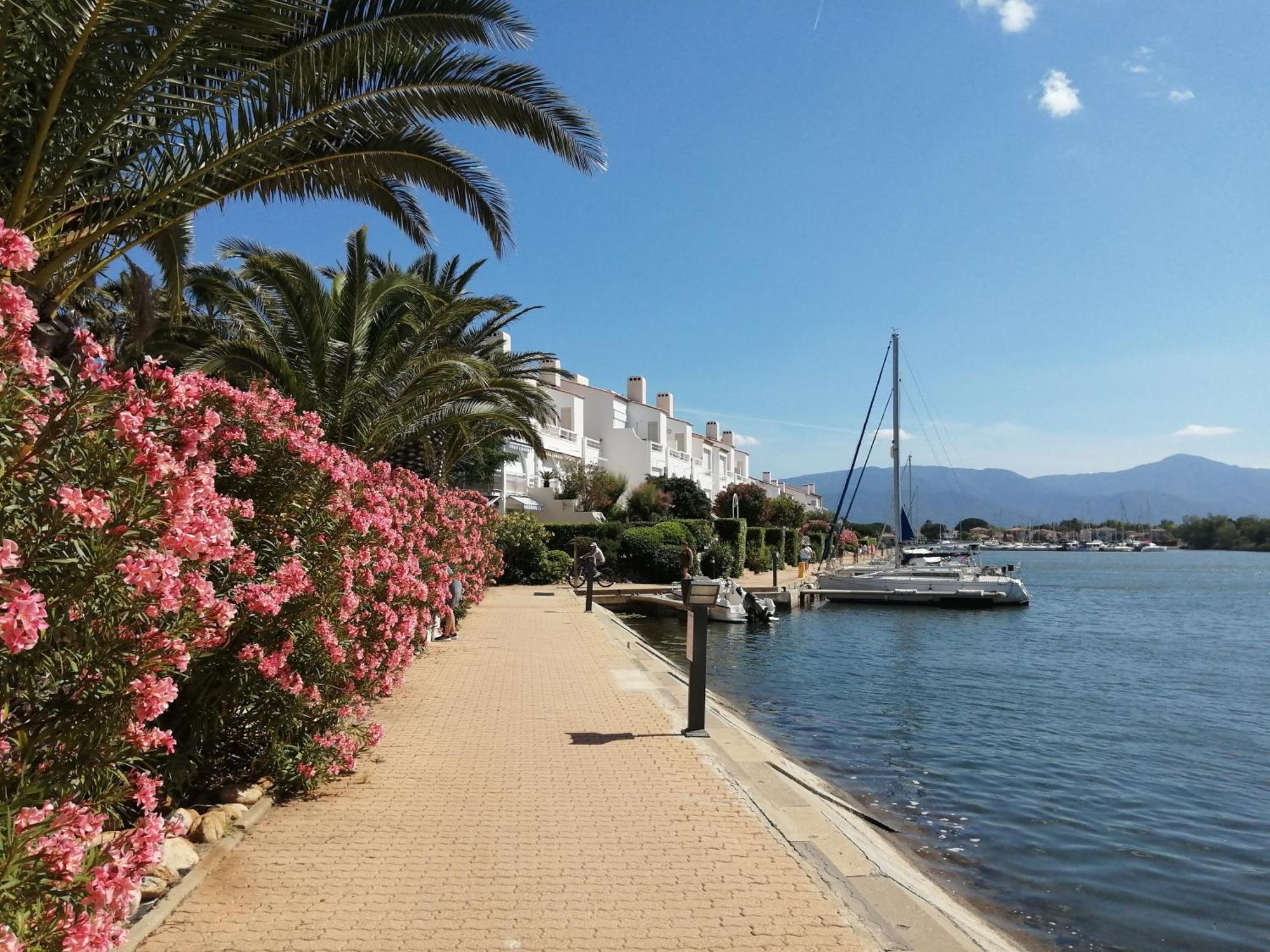 Vue Lagune Et Bateaux A 100M De La Plage 圣西普里安 外观 照片